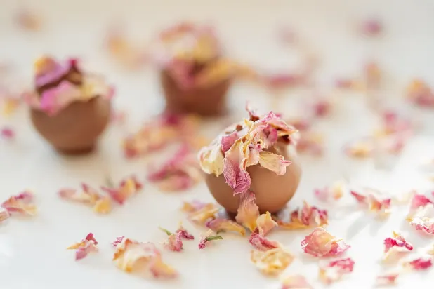 Tusk Kasyno Aplikacja Android/iOS